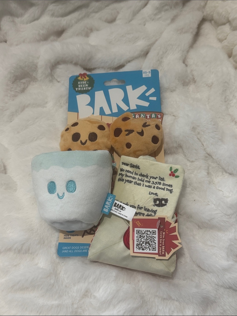 Box 2 Cookies Glass of Milk & Santa’s List